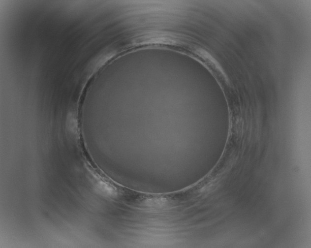 X0000070250882200606021153