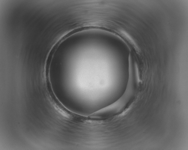 X0000070250884200606021153