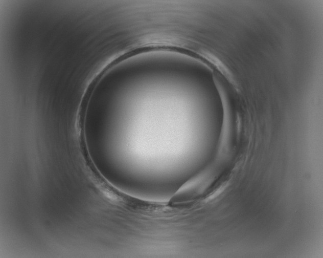 X0000070250885200606021153