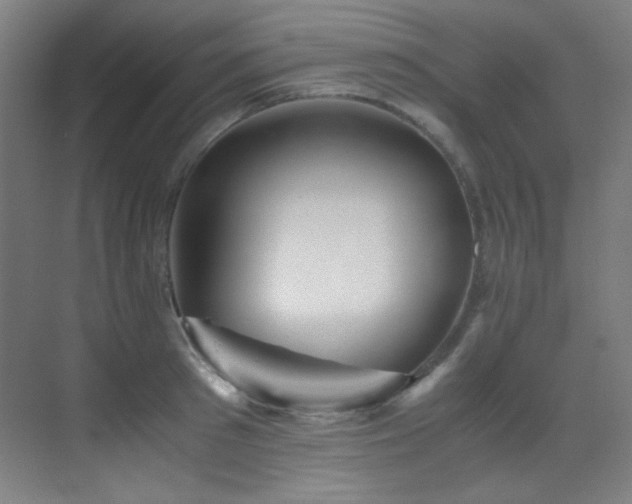 X0000070250897200606021153