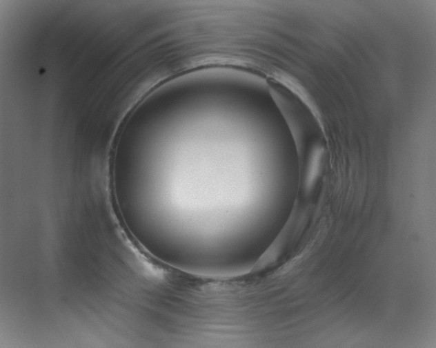 X0000070250898200606021153
