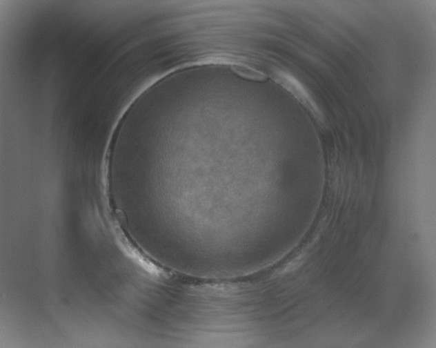 X0000070250900200606021153