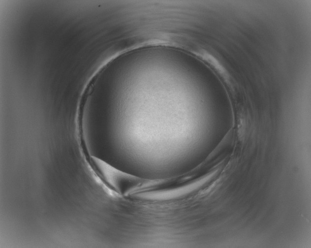 X0000070250902200606021153