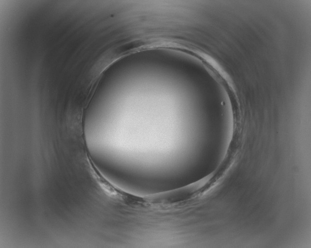 X0000070250905200606021153