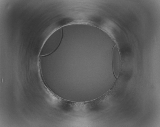 X0000070250907200606021153