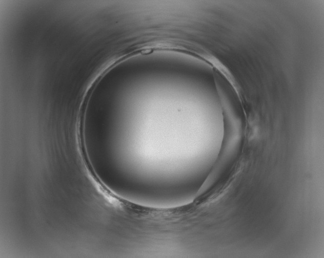 X0000070250909200606021153