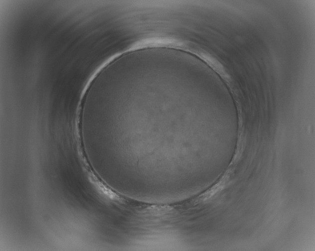 X0000070250912200606021152