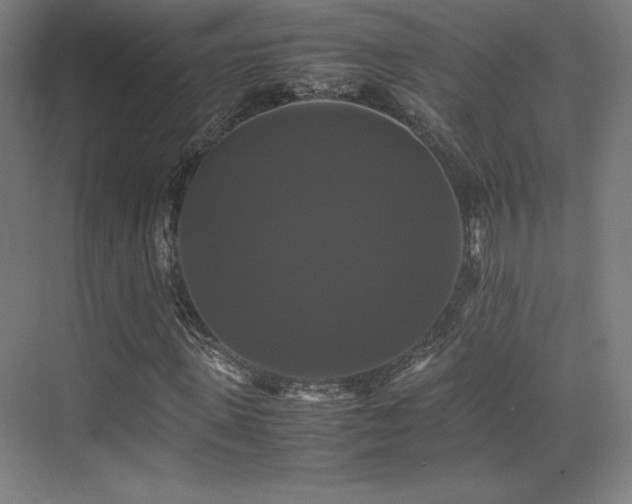 X0000070250915200606021152