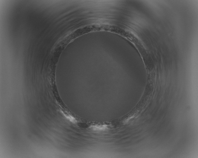 X0000070250919200606021152