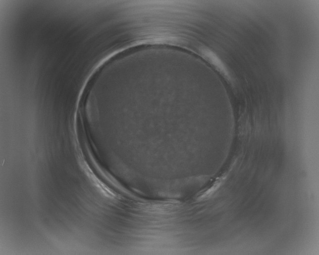 X0000070250932200606021152