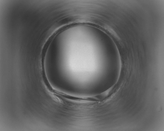 X0000070250934200606021152