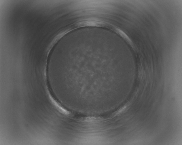 X0000070250938200606021152