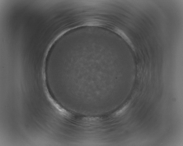 X0000070250939200606021152