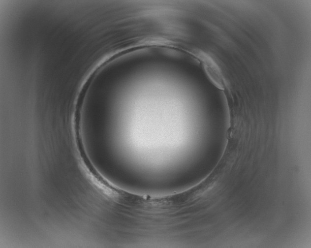 X0000070250947200606021152