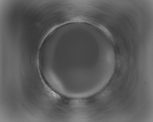X0000070250950200606021152