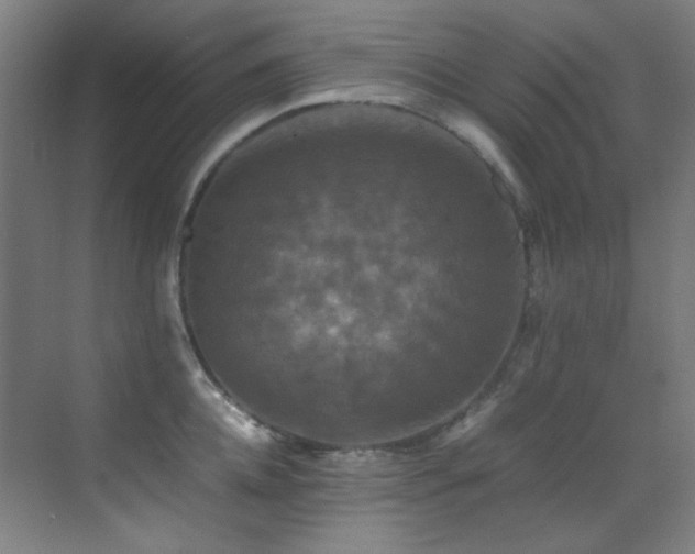 X0000070250952200606021152