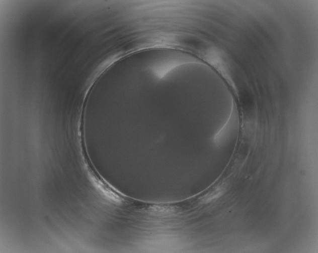 X0000070250954200606021152