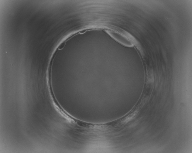 X0000070250958200606021152