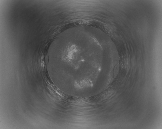 X0000070250962200606021152