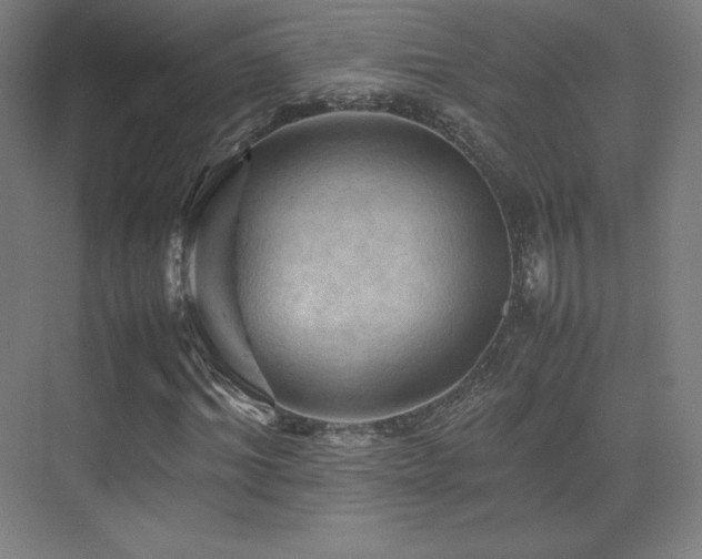 X0000070250964200606021152