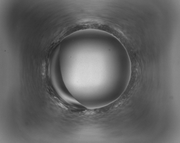 X0000070250965200606021152