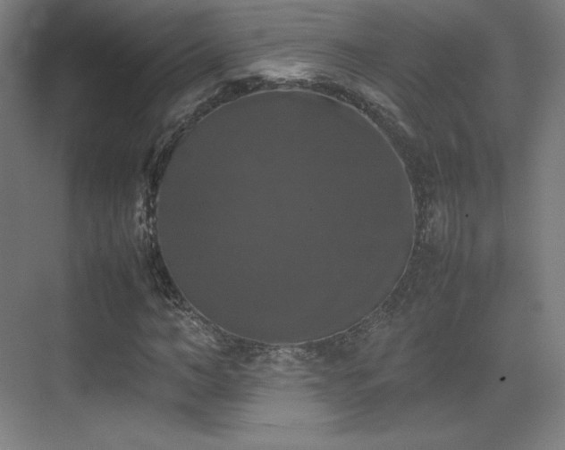 X0000070250966200606021152
