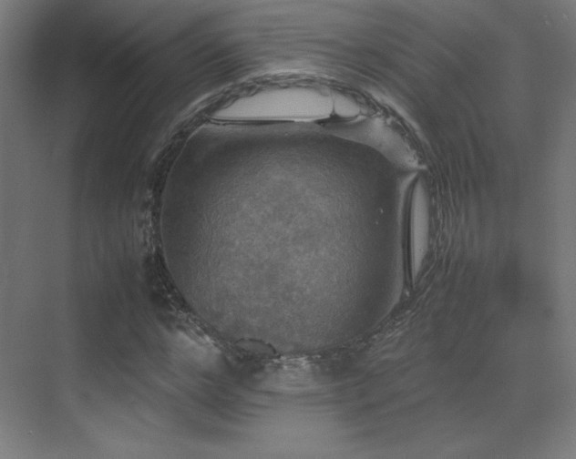 X0000070250968200606021152
