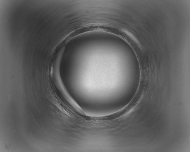 X0000070250969200606021152