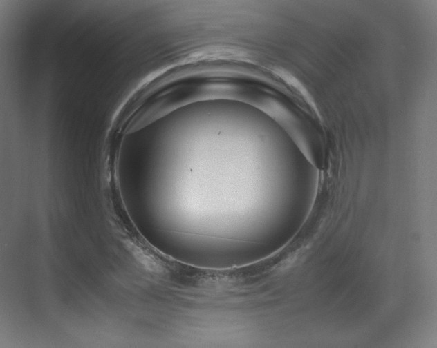 X0000070250973200606021151