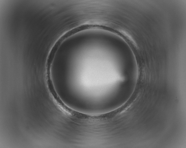 X0000070250976200606021151