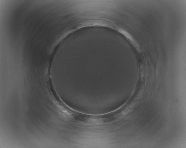 X0000070250977200606021151
