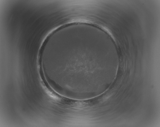 X0000070250987200606021151