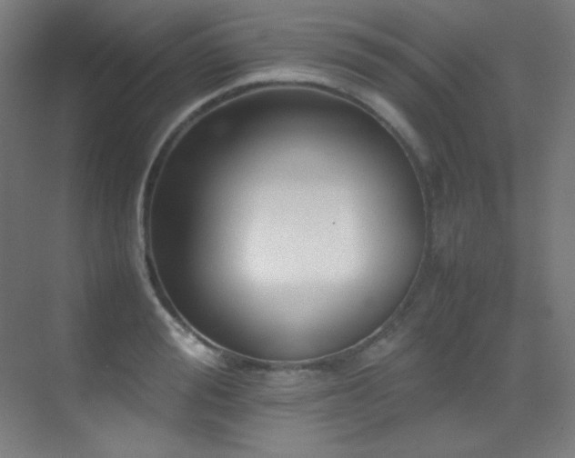 X0000070250988200606021151