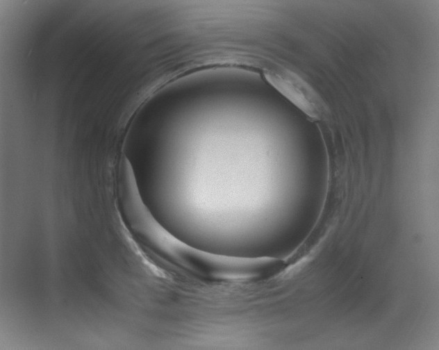 X0000070250993200606021151