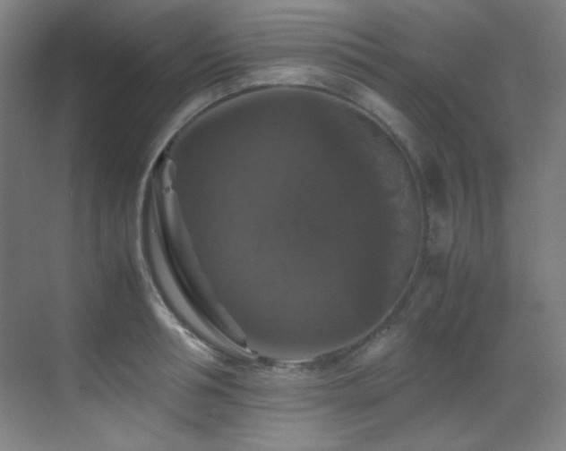 X0000070250994200606021151