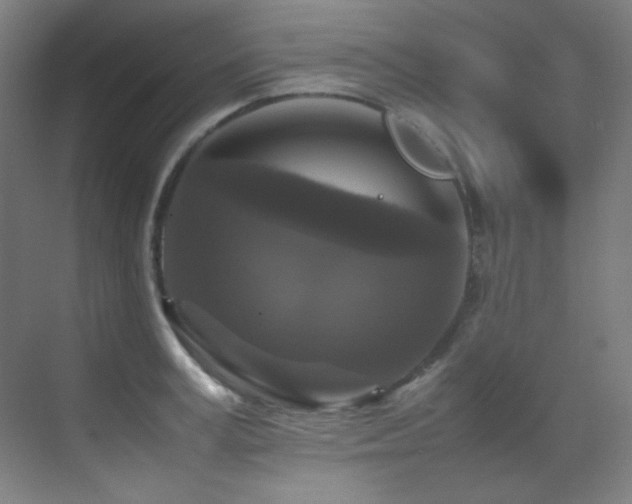 X0000070250995200606021151
