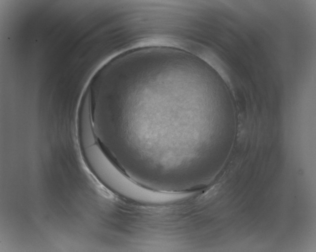 X0000070250996200606021151