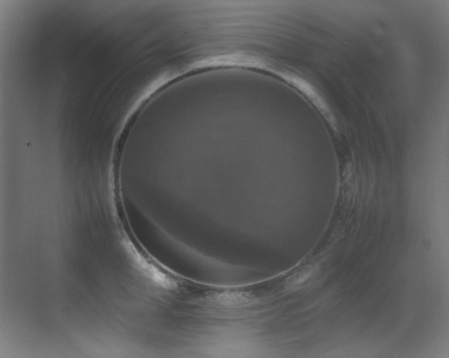 X0000070250998200606021151