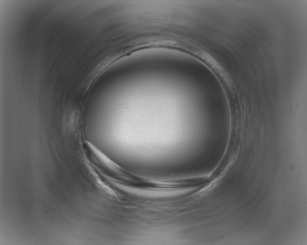 X0000070251001200606021151