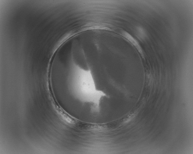 X0000070251002200606021151