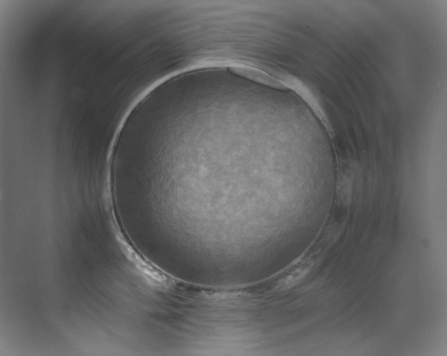 X0000070251004200606021151