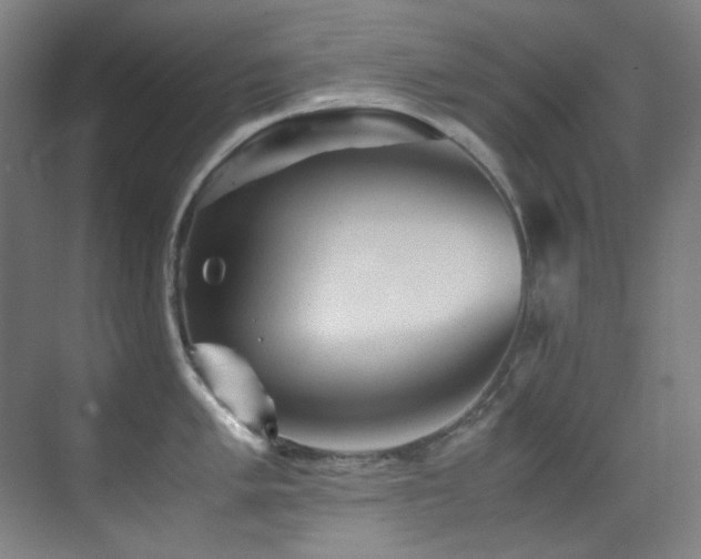 X0000070251005200606021151
