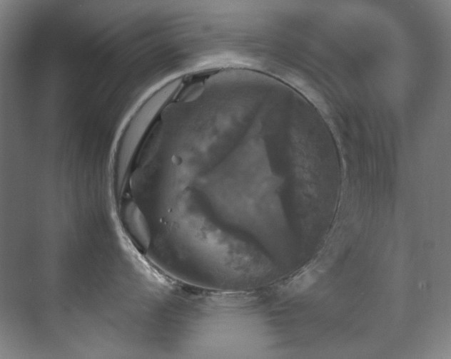X0000070251008200606021151