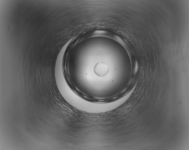 X0000070251010200606021150