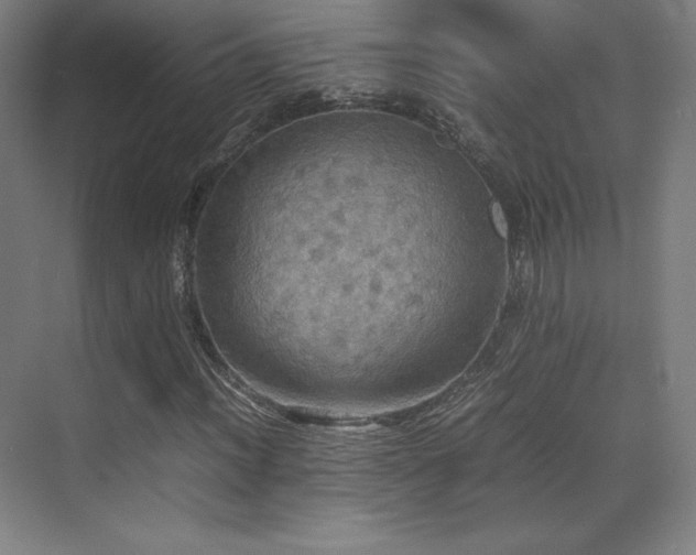 X0000070251012200606021150