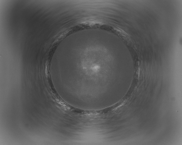 X0000070251014200606021150