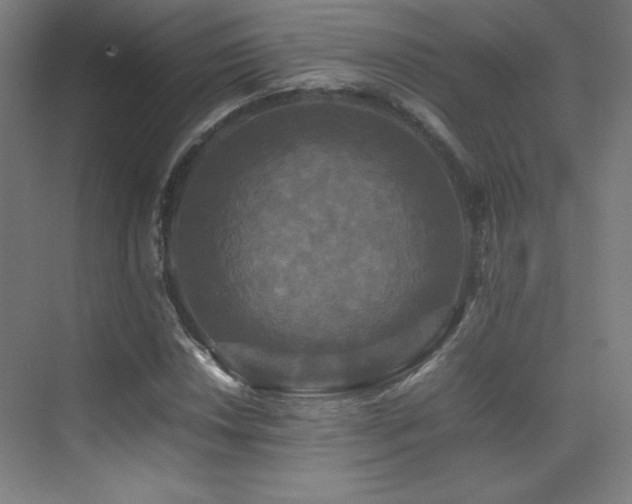 X0000070251018200606021150