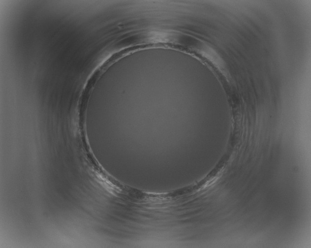X0000070251023200606021150