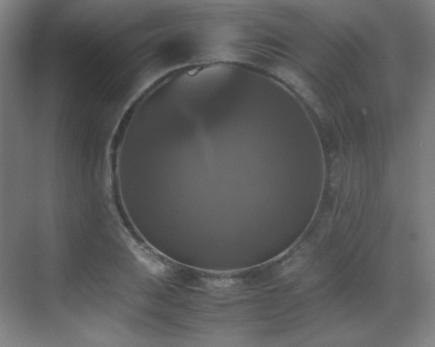 X0000070251031200606021150