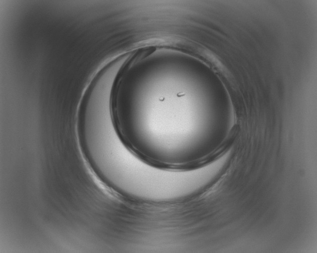X0000070251034200606021151